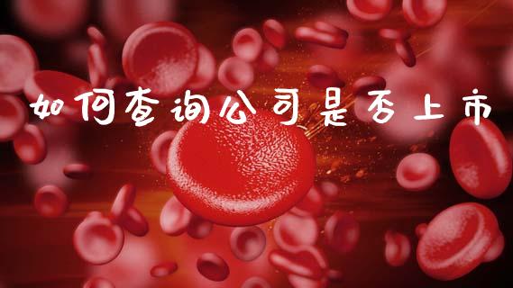 如何查询公司是否上市_https://wap.apzhendong.com_期货直播_第1张