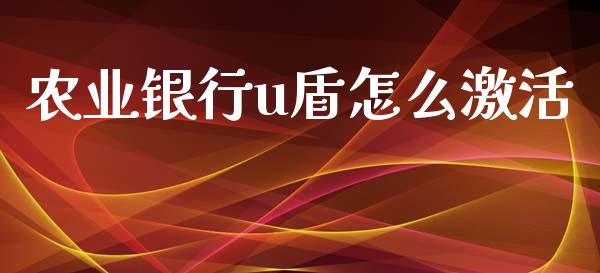 农业银行u盾怎么激活_https://wap.apzhendong.com_今日财经_第1张