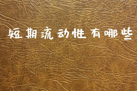 短期流动性有哪些_https://wap.apzhendong.com_今日财经_第1张