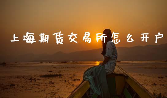 上海期货交易所怎么开户_https://wap.apzhendong.com_美股行情_第1张
