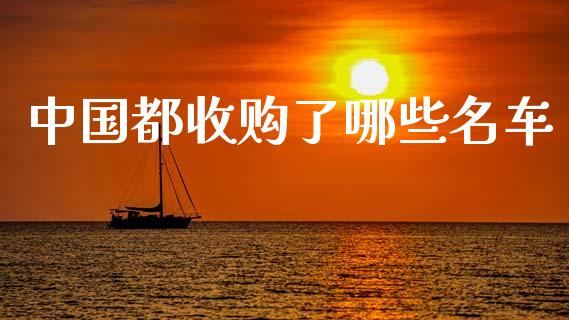 中国都收购了哪些名车_https://wap.apzhendong.com_今日财经_第1张