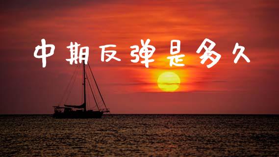 中期反弹是多久_https://wap.apzhendong.com_投资理财_第1张