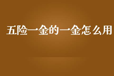 五险一金的一金怎么用_https://wap.apzhendong.com_投资理财_第1张