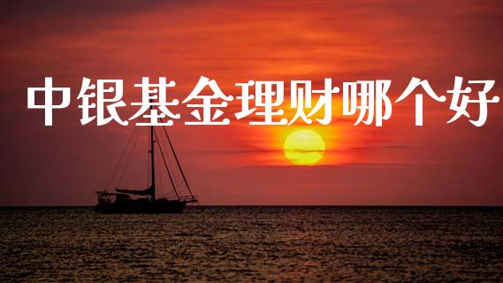 中银基金理财哪个好_https://wap.apzhendong.com_美股行情_第1张
