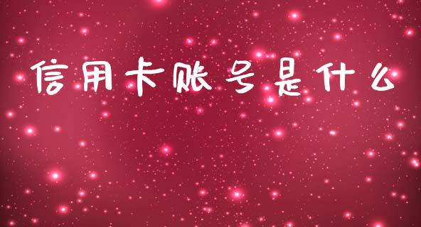 信用卡账号是什么_https://wap.apzhendong.com_今日财经_第1张