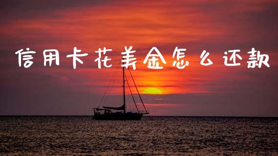 信用卡花美金怎么还款_https://wap.apzhendong.com_投资理财_第1张