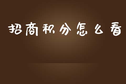 招商积分怎么看_https://wap.apzhendong.com_美股行情_第1张