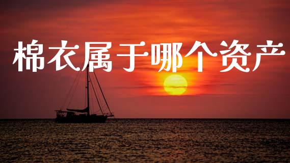 棉衣属于哪个资产_https://wap.apzhendong.com_期货直播_第1张