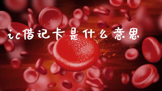 ic借记卡是什么意思_https://wap.apzhendong.com_期货直播_第1张