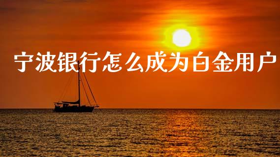 宁波银行怎么成为白金用户_https://wap.apzhendong.com_期货直播_第1张