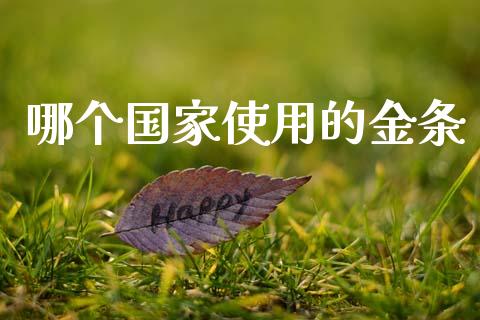 哪个国家使用的金条_https://wap.apzhendong.com_期货直播_第1张