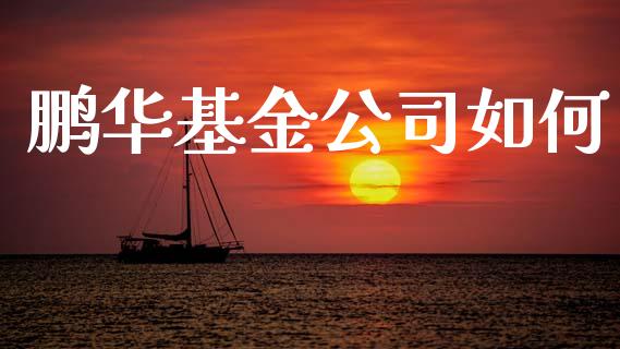 鹏华基金公司如何_https://wap.apzhendong.com_投资理财_第1张