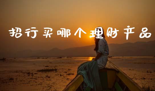 招行买哪个理财产品_https://wap.apzhendong.com_美股行情_第1张