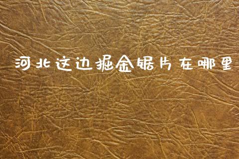 河北这边掘金锯片在哪里_https://wap.apzhendong.com_期货直播_第1张