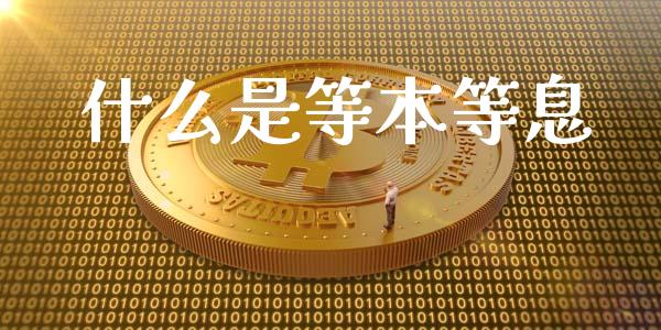 什么是等本等息_https://wap.apzhendong.com_投资理财_第1张