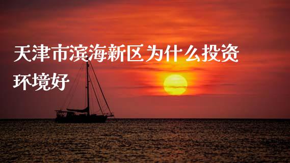 天津市滨海新区为什么投资环境好_https://wap.apzhendong.com_投资理财_第1张