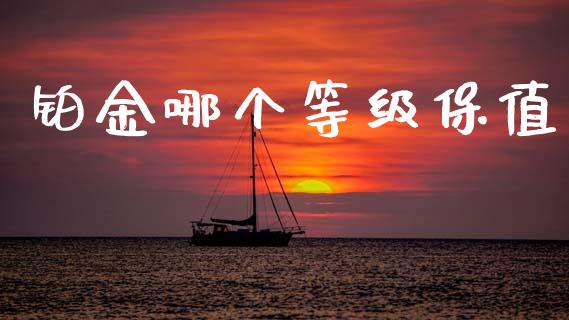 铂金哪个等级保值_https://wap.apzhendong.com_期货直播_第1张