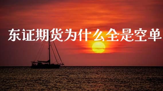 东证期货为什么全是空单_https://wap.apzhendong.com_投资理财_第1张