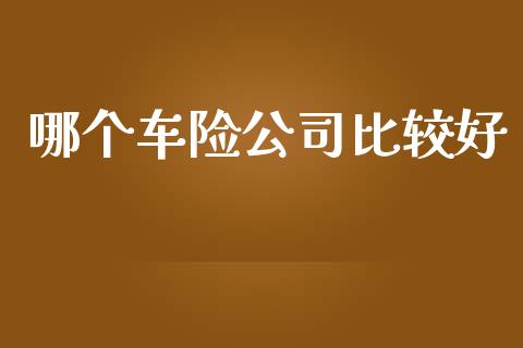 哪个车险公司比较好_https://wap.apzhendong.com_美股行情_第1张