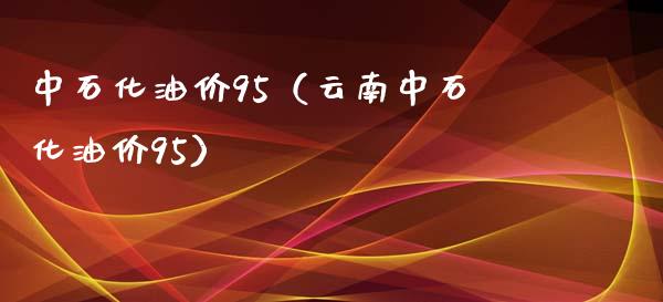 中石化油价95（云南中石化油价95）_https://wap.apzhendong.com_期货直播_第1张