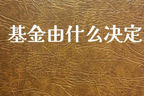 基金由什么决定_https://wap.apzhendong.com_期货直播_第1张