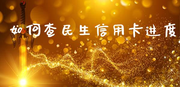 如何查民生信用卡进度_https://wap.apzhendong.com_期货直播_第1张