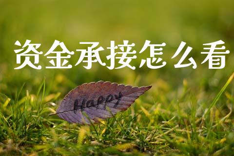 资金承接怎么看_https://wap.apzhendong.com_期货直播_第1张