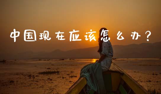 中国现在应该怎么办？_https://wap.apzhendong.com_今日财经_第1张