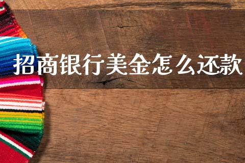 招商银行美金怎么还款_https://wap.apzhendong.com_投资理财_第1张