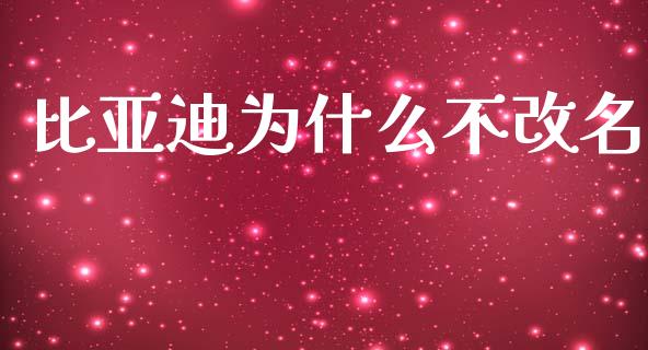 比亚迪为什么不改名_https://wap.apzhendong.com_投资理财_第1张