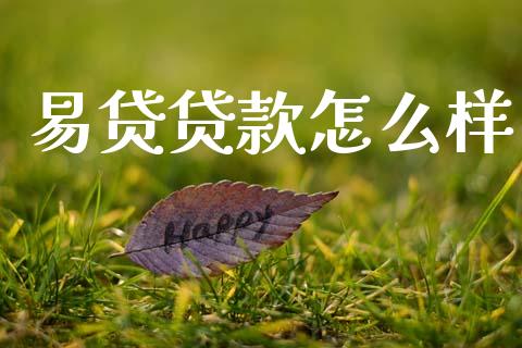 易贷贷款怎么样_https://wap.apzhendong.com_今日财经_第1张