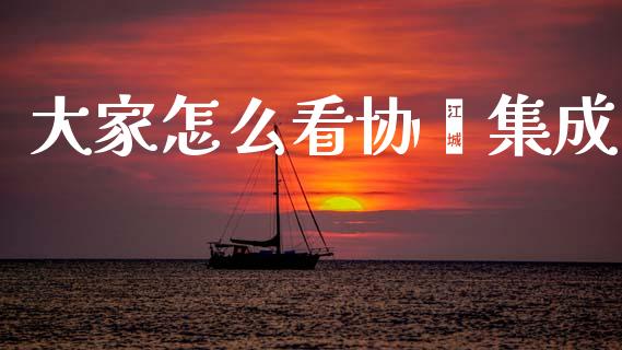 大家怎么看协鑫集成_https://wap.apzhendong.com_投资理财_第1张