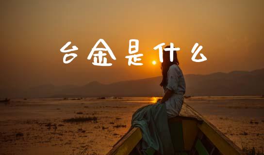 台金是什么_https://wap.apzhendong.com_投资理财_第1张