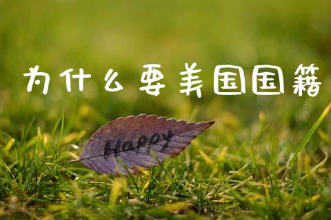 为什么要美国国籍_https://wap.apzhendong.com_今日财经_第1张