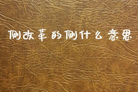 侧改革的侧什么意思_https://wap.apzhendong.com_美股行情_第1张