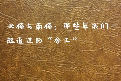 北桥与南桥：那些年我们一起追过的“分工”_https://wap.apzhendong.com_期货直播_第1张