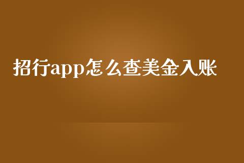 招行app怎么查美金入账_https://wap.apzhendong.com_期货直播_第1张