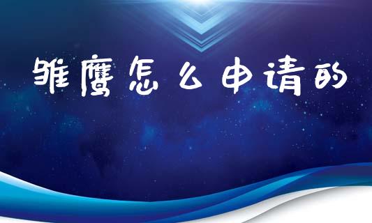 雏鹰怎么申请的_https://wap.apzhendong.com_美股行情_第1张