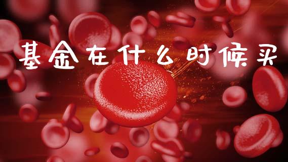 基金在什么时候买_https://wap.apzhendong.com_期货直播_第1张