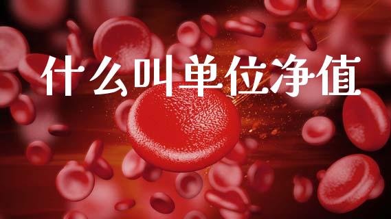 什么叫单位净值_https://wap.apzhendong.com_今日财经_第1张