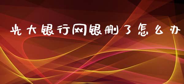 光大银行网银删了怎么办_https://wap.apzhendong.com_期货直播_第1张