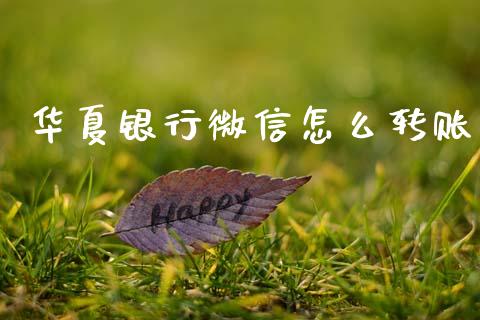 华夏银行微信怎么转账_https://wap.apzhendong.com_期货直播_第1张