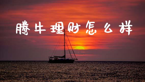 腾牛理财怎么样_https://wap.apzhendong.com_期货直播_第1张