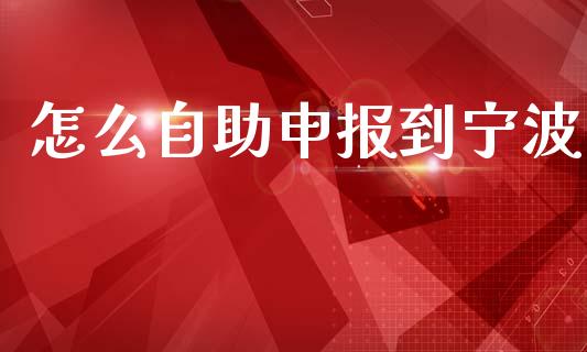 怎么自助申报到宁波_https://wap.apzhendong.com_美股行情_第1张