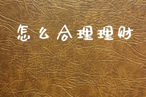 怎么合理理财_https://wap.apzhendong.com_期货直播_第1张