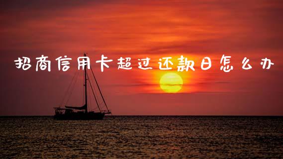 招商信用卡超过还款日怎么办_https://wap.apzhendong.com_今日财经_第1张