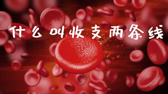 什么叫收支两条线_https://wap.apzhendong.com_期货直播_第1张