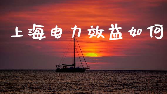 上海电力效益如何_https://wap.apzhendong.com_投资理财_第1张