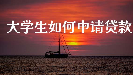 大学生如何申请贷款_https://wap.apzhendong.com_投资理财_第1张