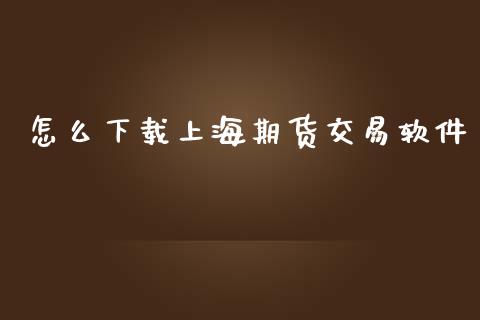 怎么下载上海期货交易软件_https://wap.apzhendong.com_投资理财_第1张